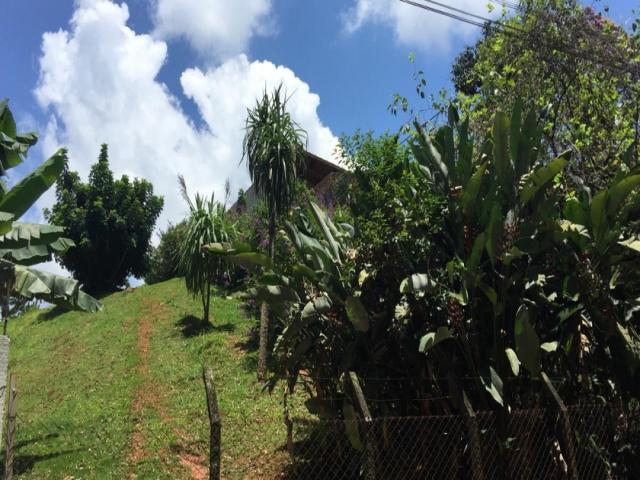 #54 - Terreno em condomínio para Venda em Santana de Parnaíba - SP - 2