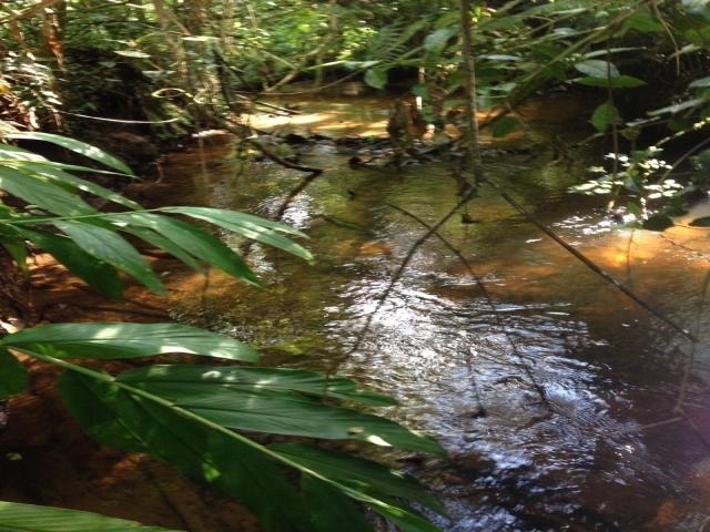 #164 - Terreno para Venda em Ibiúna - SP - 3