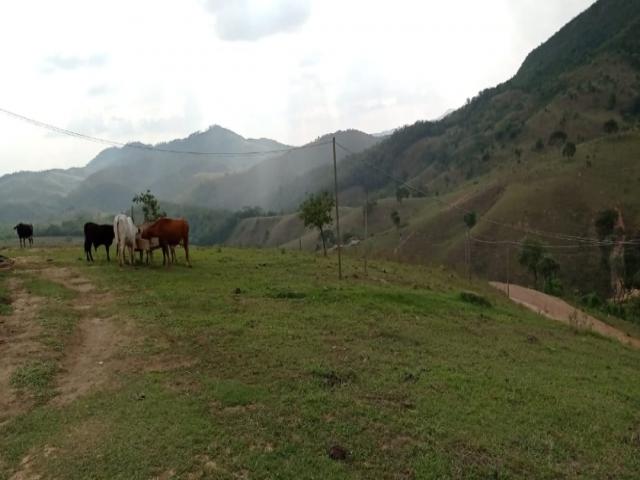 #213 - Terreno para Venda em Santana de Parnaíba - SP - 1