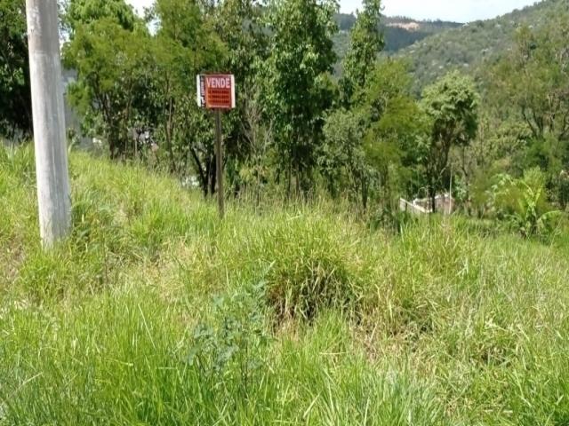 #229 - Terreno para Venda em Santana de Parnaíba - SP - 2