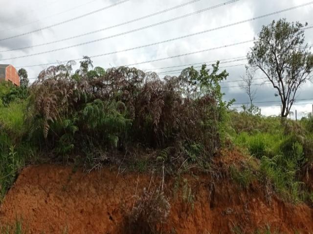 #249 - Terreno para Venda em Santana de Parnaíba - SP - 3