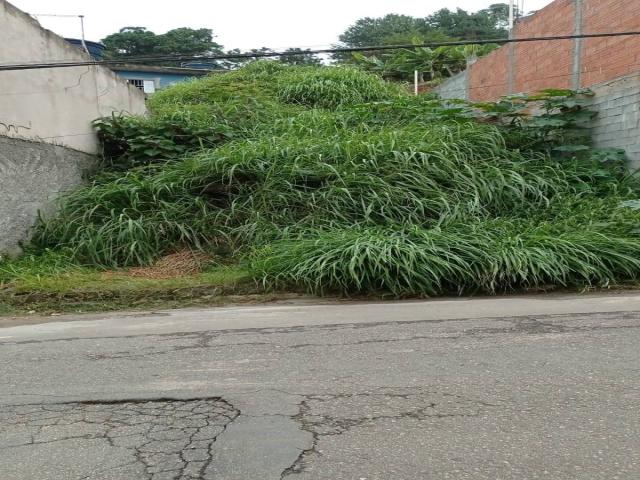 #271 - Terreno para Venda em Santana de Parnaíba - SP - 3