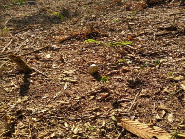 #334 - Terreno para Venda em Santana de Parnaíba - SP - 2