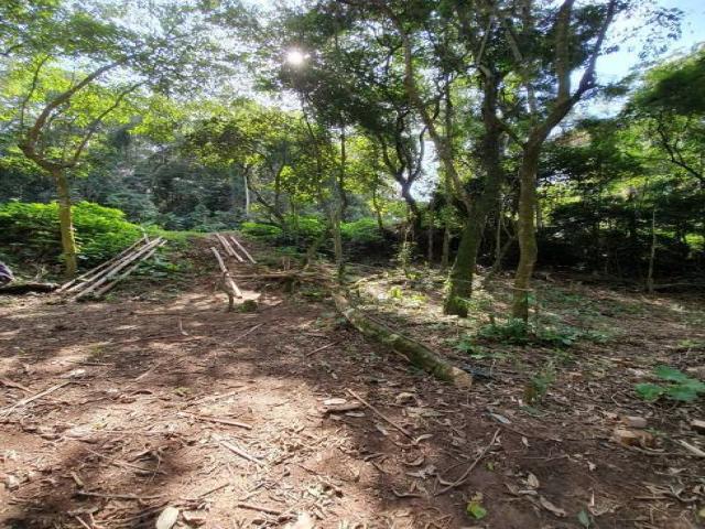 #343 - Terreno para Venda em Santana de Parnaíba - SP - 1