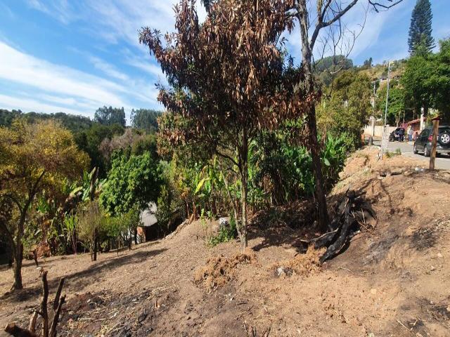 #379 - Terreno para Venda em Santana de Parnaíba - SP - 3