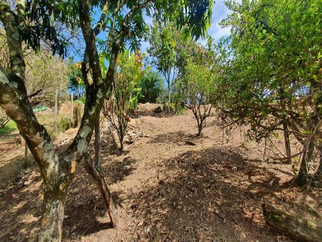 #379 - Terreno para Venda em Santana de Parnaíba - SP - 1