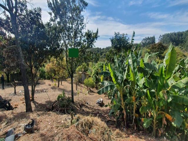 #379 - Terreno para Venda em Santana de Parnaíba - SP - 2