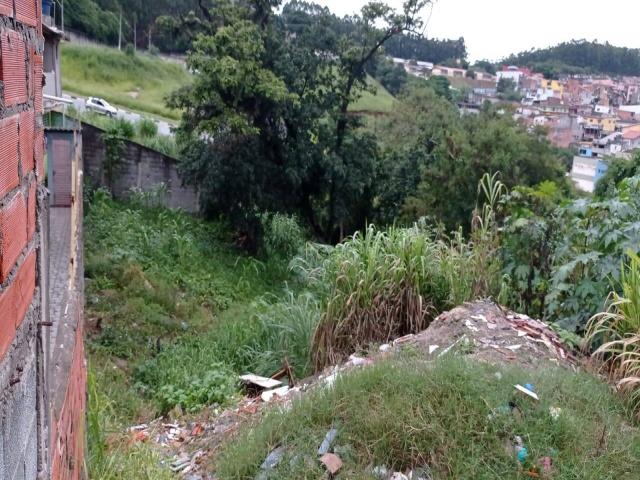 #385 - Terreno para Venda em Santana de Parnaíba - SP - 3