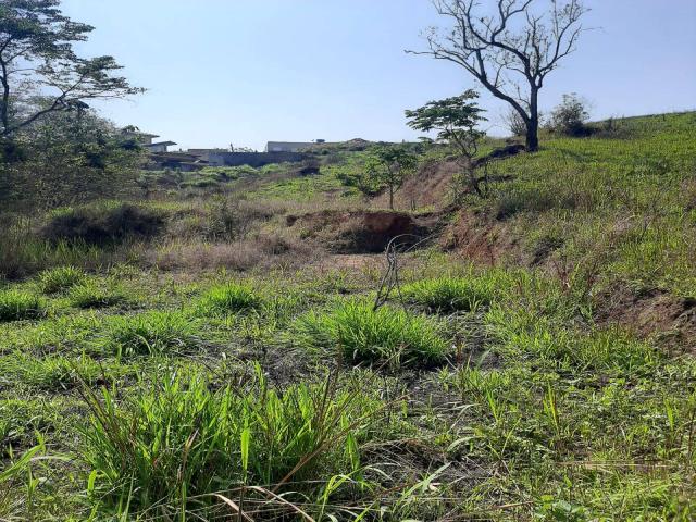 Venda em Suru - Santana de Parnaíba