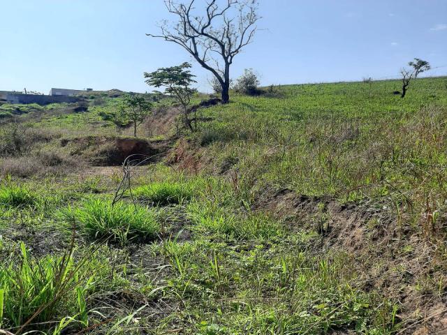 #402 - Terreno para Venda em Santana de Parnaíba - SP - 3