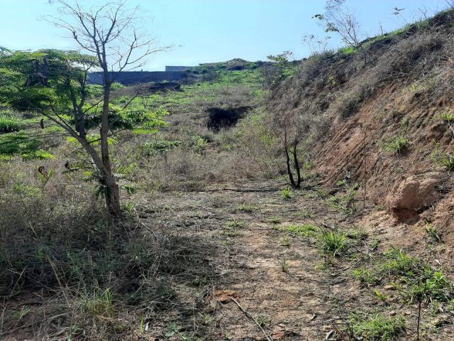 #402 - Terreno para Venda em Santana de Parnaíba - SP - 2